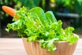 Vegetable salad bowl