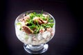 Vegetable salad with canned tuna Royalty Free Stock Photo