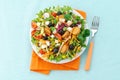 Vegetable salad, cheese and croutons Royalty Free Stock Photo