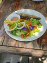 Vegetable salad consisting of cos with lettuce with onions with flowers with Mackarel saba fish Grilled on a plate