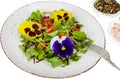 Vegetable salad with edible flowers on white background Royalty Free Stock Photo