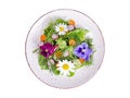 Vegetable salad with edible flowers on white background Royalty Free Stock Photo