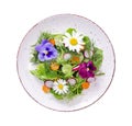 Vegetable salad with edible flowers on white background Royalty Free Stock Photo