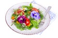 Vegetable salad with edible flowers on white background Royalty Free Stock Photo