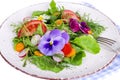 Vegetable salad with edible flowers on white background Royalty Free Stock Photo