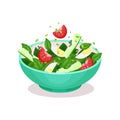 Vegetable salad with egg, tomato, cucmber and spinach healthy eating concept vector Illustration