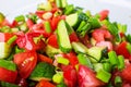 Vegetable salad with fresh tomatoes cucumbers and green onions Royalty Free Stock Photo