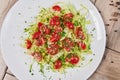 Vegetable Salad. Gray plate. Wooden light background. Free space for text. Salad of cucumbers, tomato and cabbage. Royalty Free Stock Photo