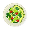 Vegetable Salad with Lettuce and Soft Cheese Vector Illustration Royalty Free Stock Photo