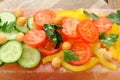 Vegetable salad on pink salt block Royalty Free Stock Photo