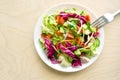 Vegetable salad with red cabbage, cucumber, tomato, onion, carrot and lettuce on a white plate. Royalty Free Stock Photo