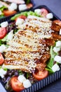 Vegetable salad with smoked eel. Japanese food Royalty Free Stock Photo