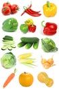 Vegetable sampler