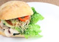 Vegetable Sandwich Royalty Free Stock Photo