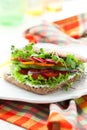 Vegetable Sandwich Royalty Free Stock Photo