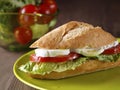 Vegetable sandwich. Bocadillo vegetal. Royalty Free Stock Photo