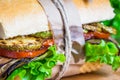 Vegetable sandwich with eggplant and zucchini Royalty Free Stock Photo