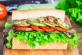 Vegetable sandwich with eggplant and zucchini Royalty Free Stock Photo