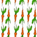 Vegetable seamless background vith carrot pattern.