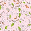 Vegetable 2 seamless pattern of the branches nuts almonds for decoration design flowers leaves background is isolated Royalty Free Stock Photo