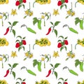 Vegetable seamless pattern. Cucumbers, tomatoes and peppers on white background