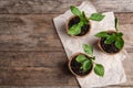 Vegetable seedlings in peat pots on table, flat lay. Space for text