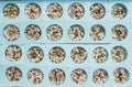 Vegetable Seeds Hydroponic Farm plant Top view