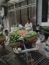 Vegetable seller Bangladesh Dhaka Bangshal