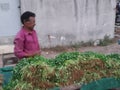 Vegetable selling cart of vegetable sellers