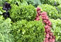 Vegetable set on the market counter. Green onions, red radishes, lettuce, curly parsley, purple Basil, fresh sorrel, beet tops and Royalty Free Stock Photo