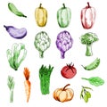 Vegetable set - pepper, zucchini, salad, asparagus , artichoke, broccoli, peas, tomato, olives. Organic meal. Set for logo design