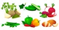 Vegetable set, vector icons of fresh products Royalty Free Stock Photo