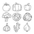 Vegetable sketch. Tomato, pumpkin, pepper, broccoli and cabbage. Cauliflower, garlic, ginger and onion. Thin outline icon. Black
