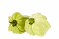 Vegetable of small green chili pepper habanero on white background Royalty Free Stock Photo