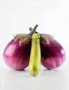 Vegetable Royalty Free Stock Photo