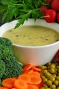 Vegetable soup