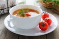 Vegetable soup with cabbage and tomatoes Royalty Free Stock Photo