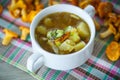 Vegetable soup with chanterelle mushrooms Royalty Free Stock Photo