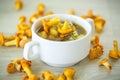 Vegetable soup with chanterelle mushrooms Royalty Free Stock Photo