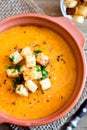 Vegetable soup with croutons Royalty Free Stock Photo