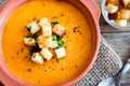 Vegetable soup with croutons Royalty Free Stock Photo