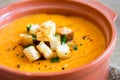 Vegetable soup with croutons Royalty Free Stock Photo