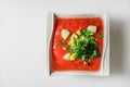 Vegetable soup gazpacho in a porcelain plate Royalty Free Stock Photo