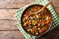 Vegetable soup with ground beef close-up in a bowl. horizontal t