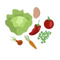 Vegetable soup illustration