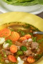Vegetable soup with meat Royalty Free Stock Photo