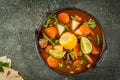 Vegetable soup Mole de olla Royalty Free Stock Photo