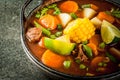 Vegetable soup Mole de olla Royalty Free Stock Photo