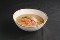 Vegetable soup with salmon in white bowl over black background. Dinner concept, healthy hot soup. Royalty Free Stock Photo