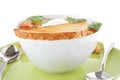 Vegetable soup and toasts Royalty Free Stock Photo